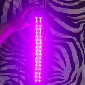 Fuchsia Pink LED Lights 💡💖